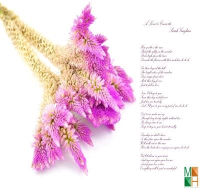 Tranh dán tường 3D Hàn Quốc hoa mào gà FW - 205